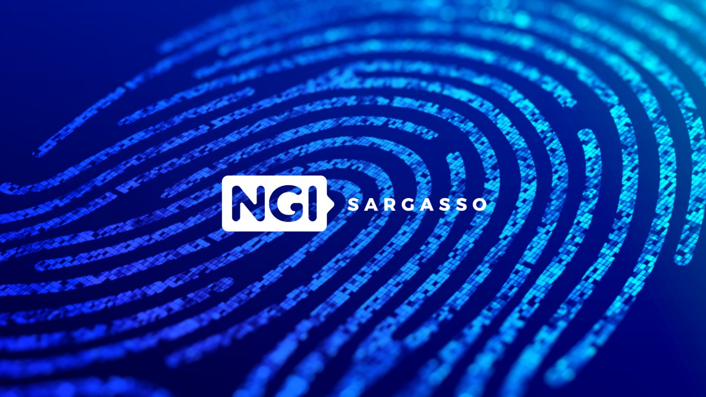 NGIers... Welcome to NGI Sargasso!